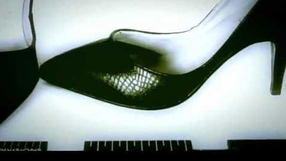 Hunt for the Shoe Rapist